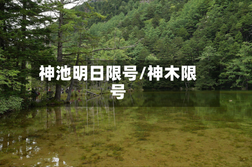 神池明日限号/神木限号