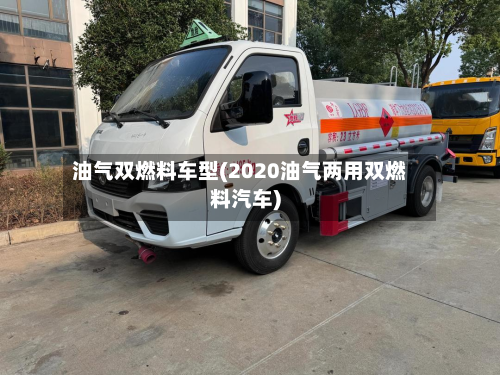 油气双燃料车型(2020油气两用双燃料汽车)-第3张图片