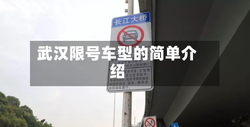 武汉限号车型的简单介绍-第3张图片