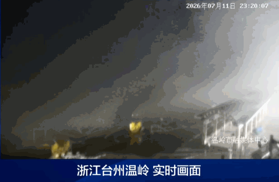 “巴威”最新路径公布！0时在浙江乐清二次登陆，5时减弱为强热带风暴	，中心最大风力11级
